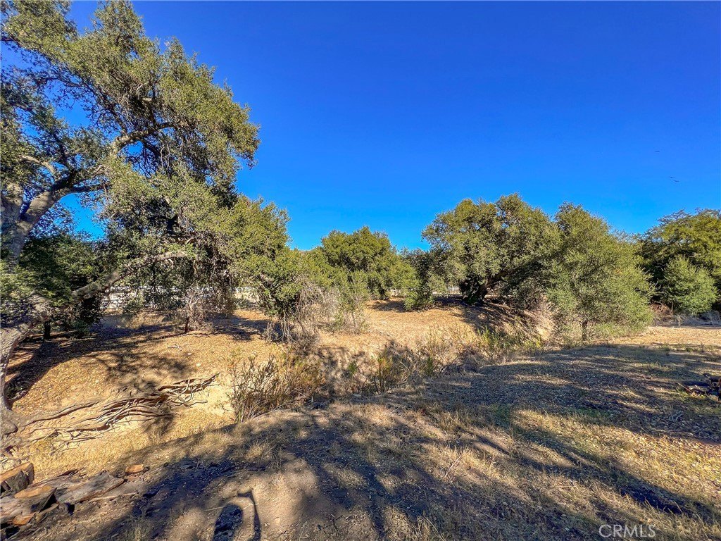 Agoura Hills, California, 91301, United States, ,Land,Forsale,2004530