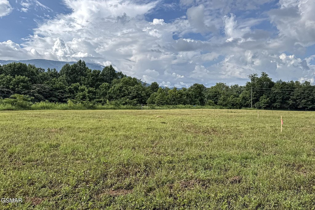 Sevierville, Tennessee, 37862, United States, ,Land,Forsale,1999463