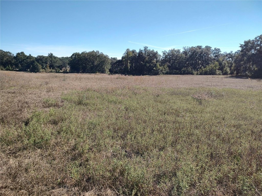 OCALA, Florida, 34482, United States, ,Land,Forsale,1994132