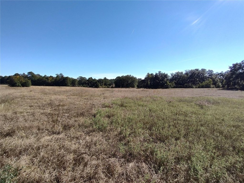 OCALA, Florida, 34482, United States, ,Land,Forsale,1994132