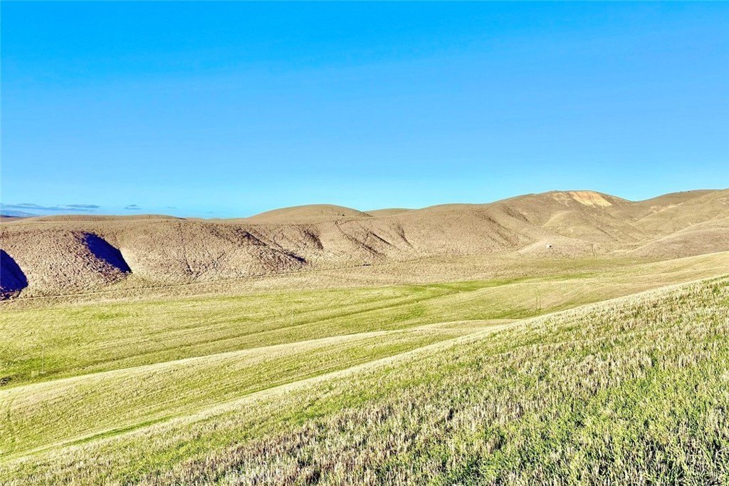 Shandon, California, 93461, United States, ,Land,Forsale,2004821