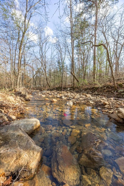 Pikeville, Tennessee, 37367, United States, ,Land,Forsale,2004680