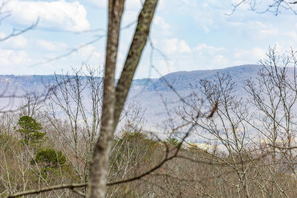 Pikeville, Tennessee, 37367, United States, ,Land,Forsale,2004680