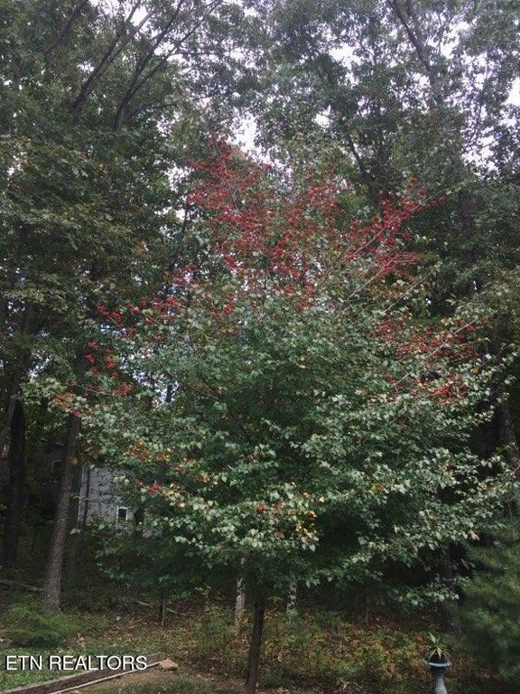 Fairfield Glade, Tennessee, 38558, United States, 3 Bedrooms Bedrooms, ,2 BathroomsBathrooms,Residential,Forsale,1996600