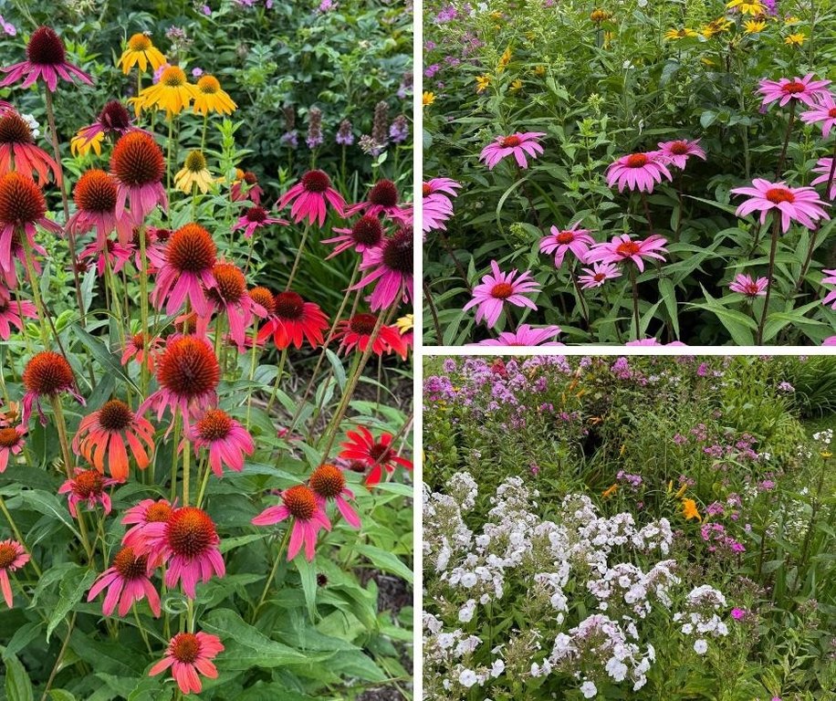 Williston, Vermont, 05495, United States, 2 Bedrooms Bedrooms, ,2 BathroomsBathrooms,Residential,Forsale,1999493