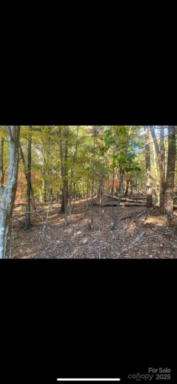 York, South Carolina, 29745, United States, ,Land,Forsale,2007722