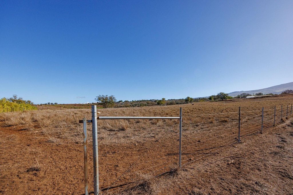 Kula, Hawaii, 96790, United States, ,Land,Forsale,2004556