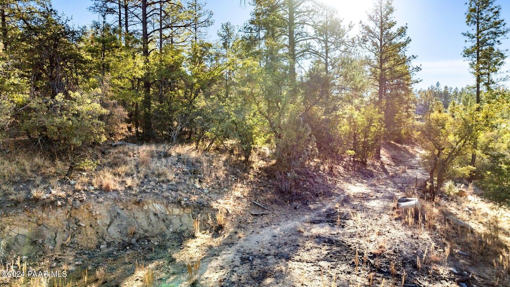 Prescott, Arizona, 86303, United States, ,Land,Forsale,1929276