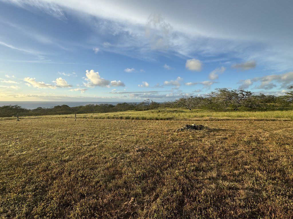 Hawi, Hawaii, 96719, United States, ,Land,Forsale,1886637