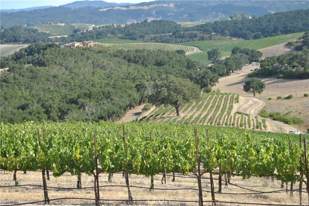 Paso Robles, California, 93446, United States, ,Commercial,Forsale,2009040