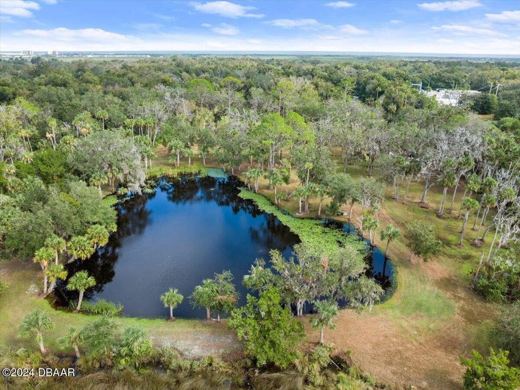 Flagler Beach, Florida, 32136, United States, ,Land,Forsale,2002762
