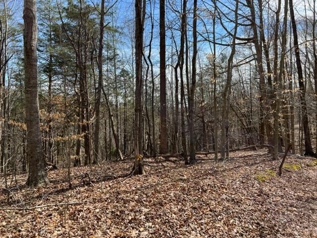 Hilham, Tennessee, 38568, United States, ,Land,Forsale,1999489