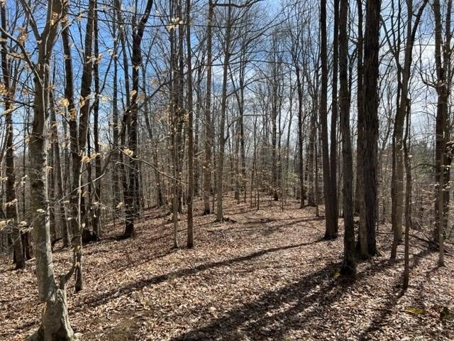 Hilham, Tennessee, 38568, United States, ,Land,Forsale,1999489