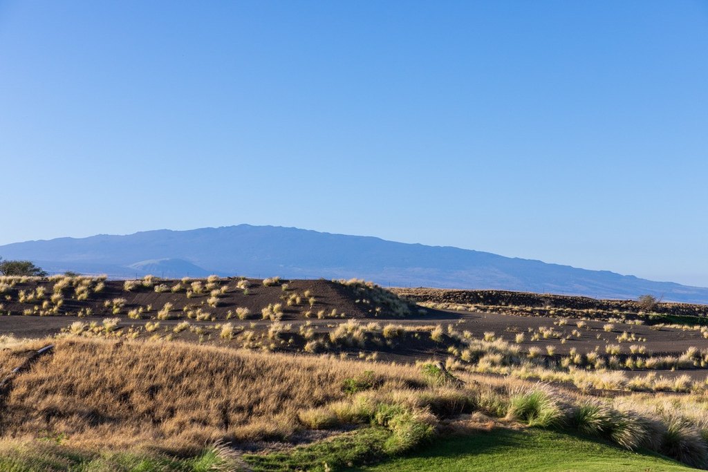 Kamuela, Hawaii, 96743, United States, ,Land,Forsale,1989822