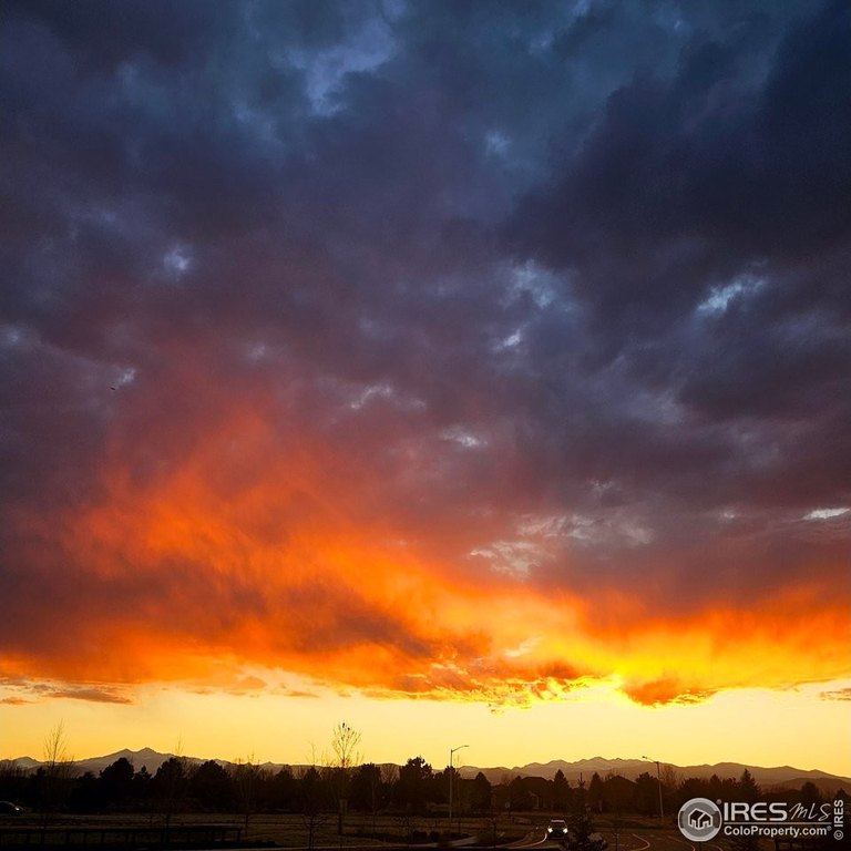 Windsor, Colorado, 80550, United States, 5 Bedrooms Bedrooms, ,3 BathroomsBathrooms,Residential,Forsale,1967217