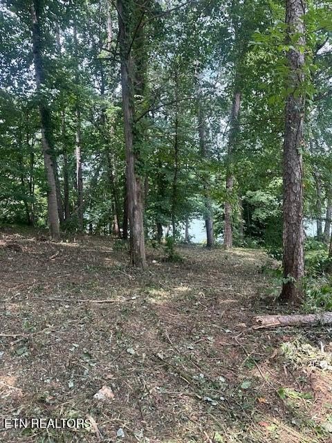 Loudon, Tennessee, 37774, United States, ,Land,Forsale,1893722