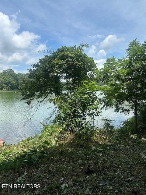 Loudon, Tennessee, 37774, United States, ,Land,Forsale,1893722