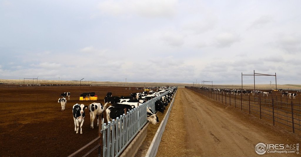 Merino, Colorado, 80741, United States, ,Residential,Forsale,1886112