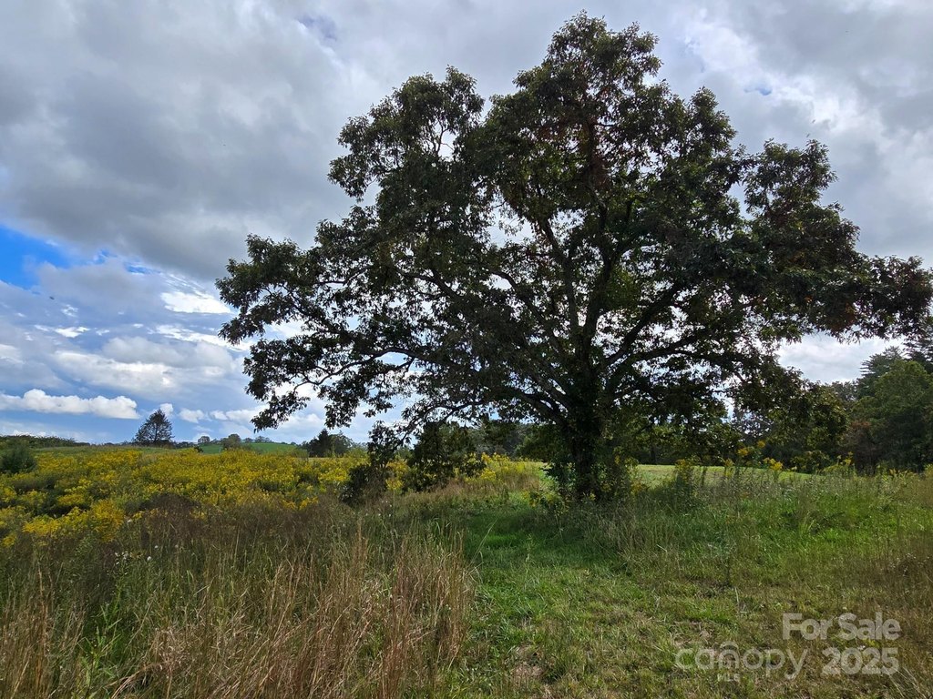 Mills River, North Carolina, 28759, United States, 3 Bedrooms Bedrooms, ,2 BathroomsBathrooms,Residential,Forsale,1985984