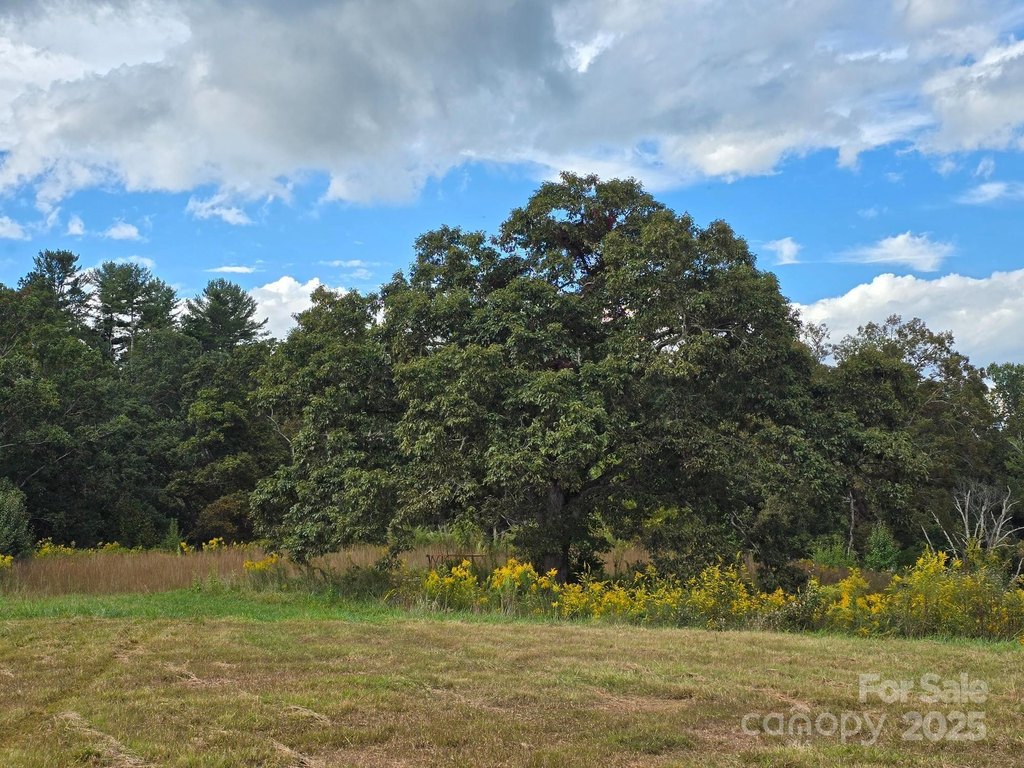 Mills River, North Carolina, 28759, United States, 3 Bedrooms Bedrooms, ,2 BathroomsBathrooms,Residential,Forsale,1985984