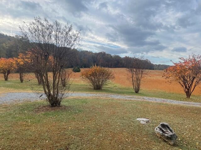 Dayton, Tennessee, 37321, United States, ,Residential,Forsale,2009518