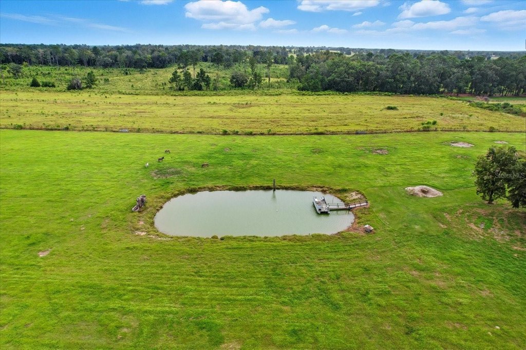 MORRISTON, Florida, 32668, United States, 4 Bedrooms Bedrooms, ,4.5 BathroomsBathrooms,Residential,Forsale,1994129