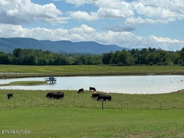 Pikeville, Tennessee, 37367, United States, 5 Bedrooms Bedrooms, ,5.5 BathroomsBathrooms,Residential,Forsale,1929853