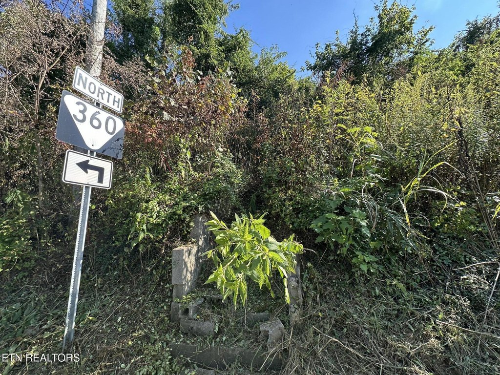 Tellico Plains, Tennessee, 37385, United States, ,Land,Forsale,1996595