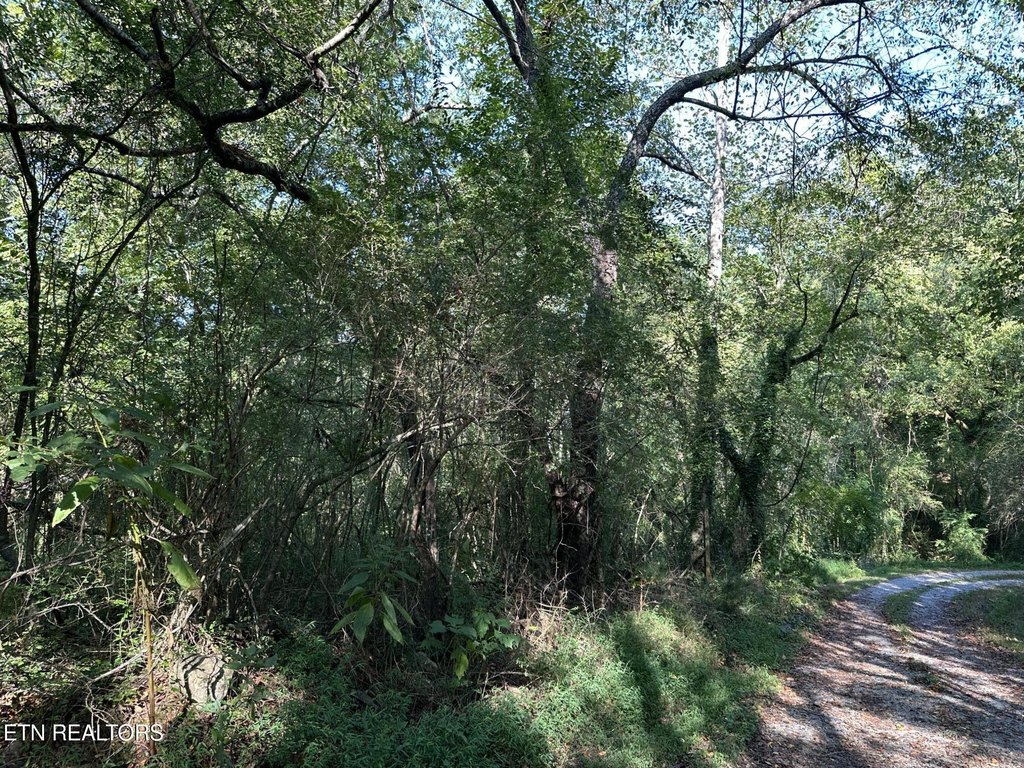 Tellico Plains, Tennessee, 37385, United States, ,Land,Forsale,1996595