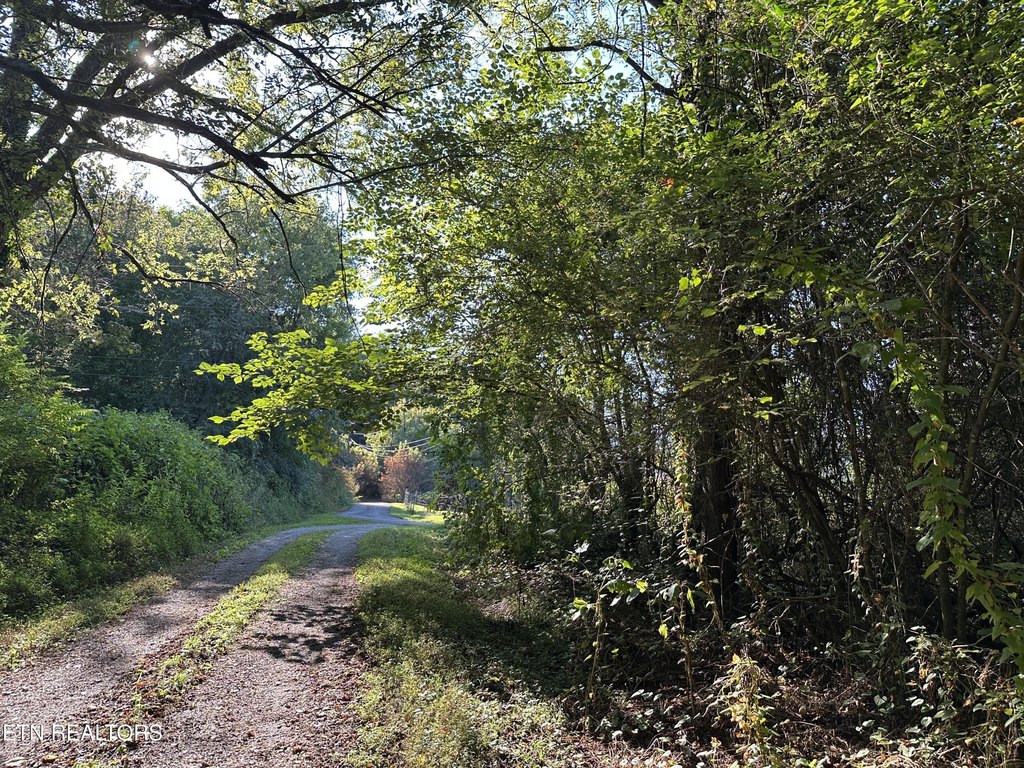 Tellico Plains, Tennessee, 37385, United States, ,Land,Forsale,1996595
