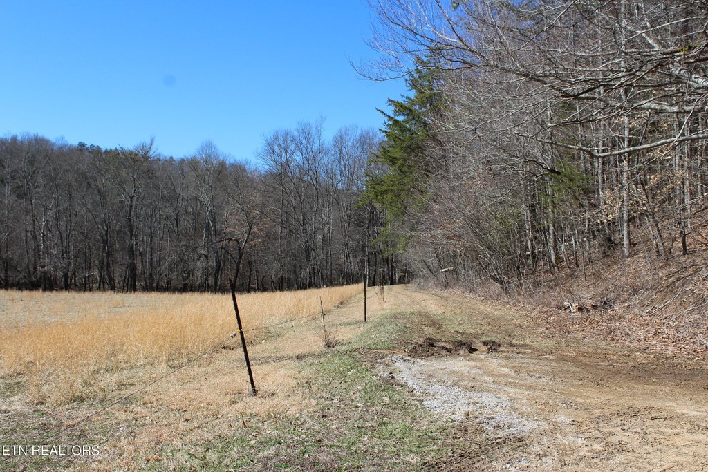 Jamestown, Tennessee, 38556, United States, 3 Bedrooms Bedrooms, ,1 BathroomBathrooms,Residential,Forsale,1885987