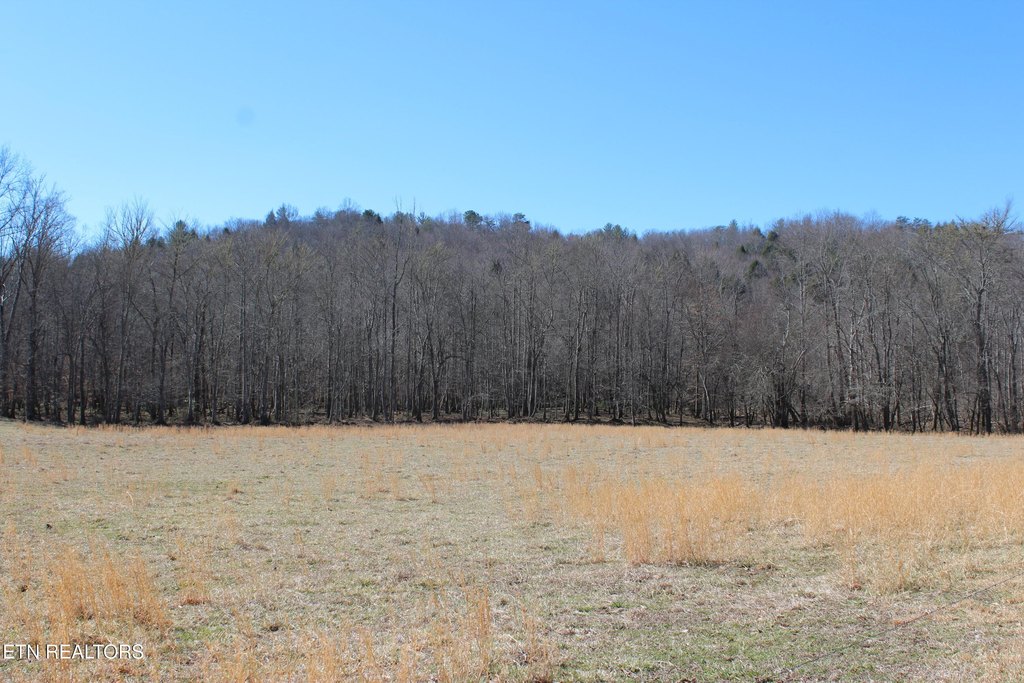 Jamestown, Tennessee, 38556, United States, 3 Bedrooms Bedrooms, ,1 BathroomBathrooms,Residential,Forsale,1885987