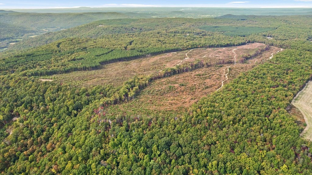 Spencer, Tennessee, 38585, United States, ,Land,Forsale,2009589