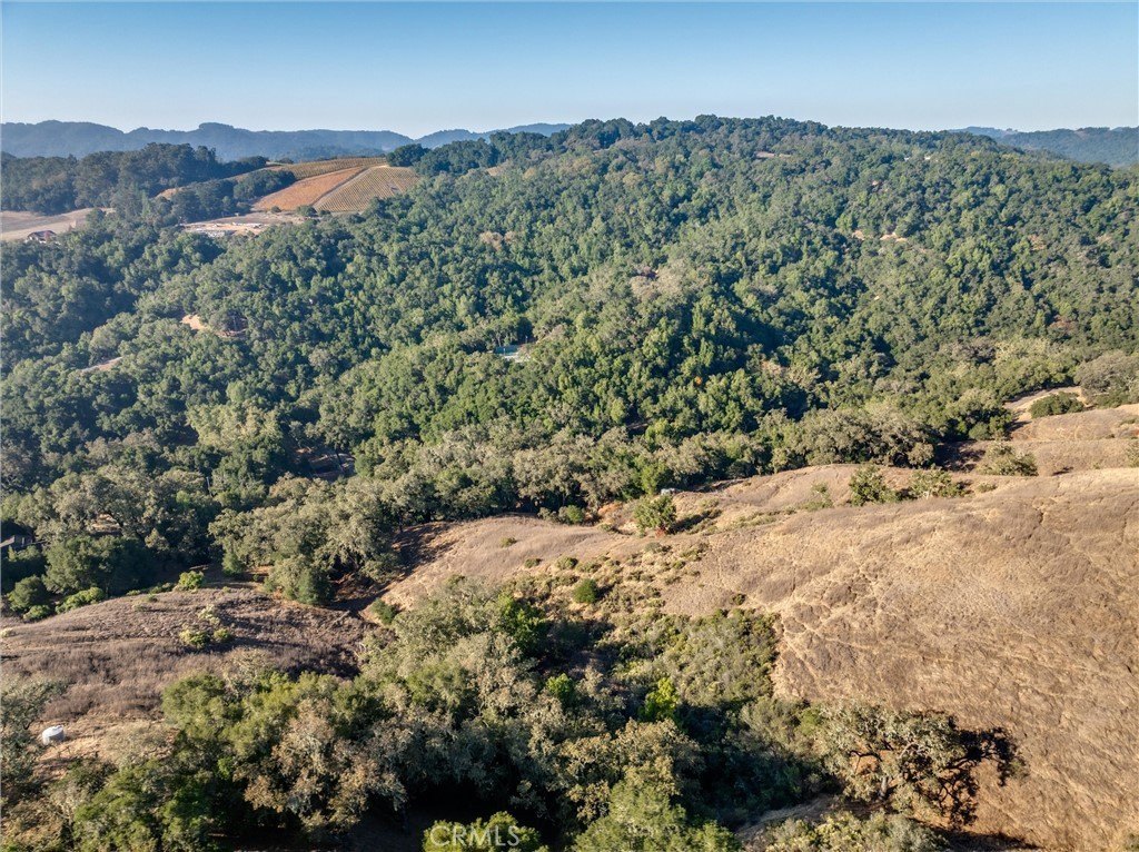 Templeton, California, 93465, United States, ,Land,Forsale,2009045