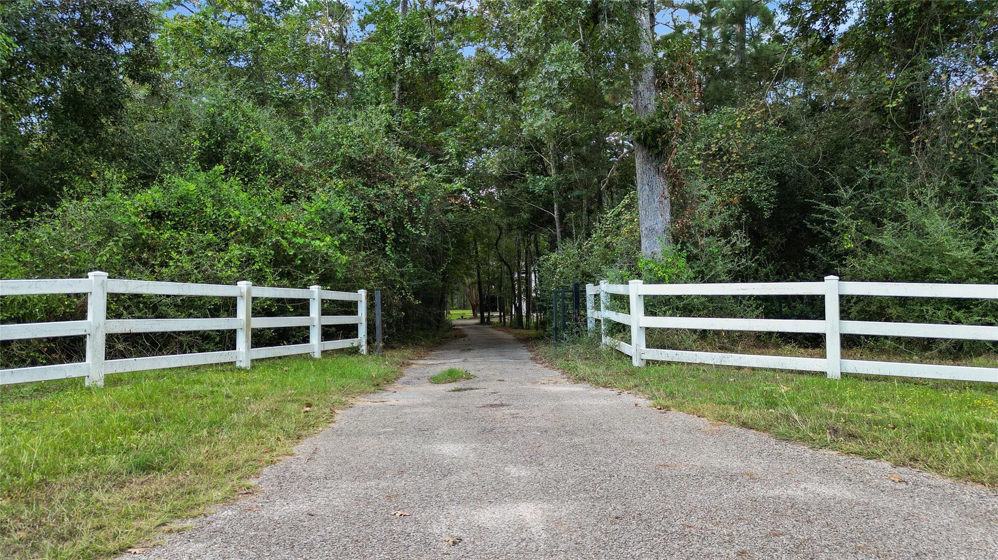 Magnolia, Texas, 77355, United States, 3 Bedrooms Bedrooms, ,2 BathroomsBathrooms,Residential,Forsale,1973425