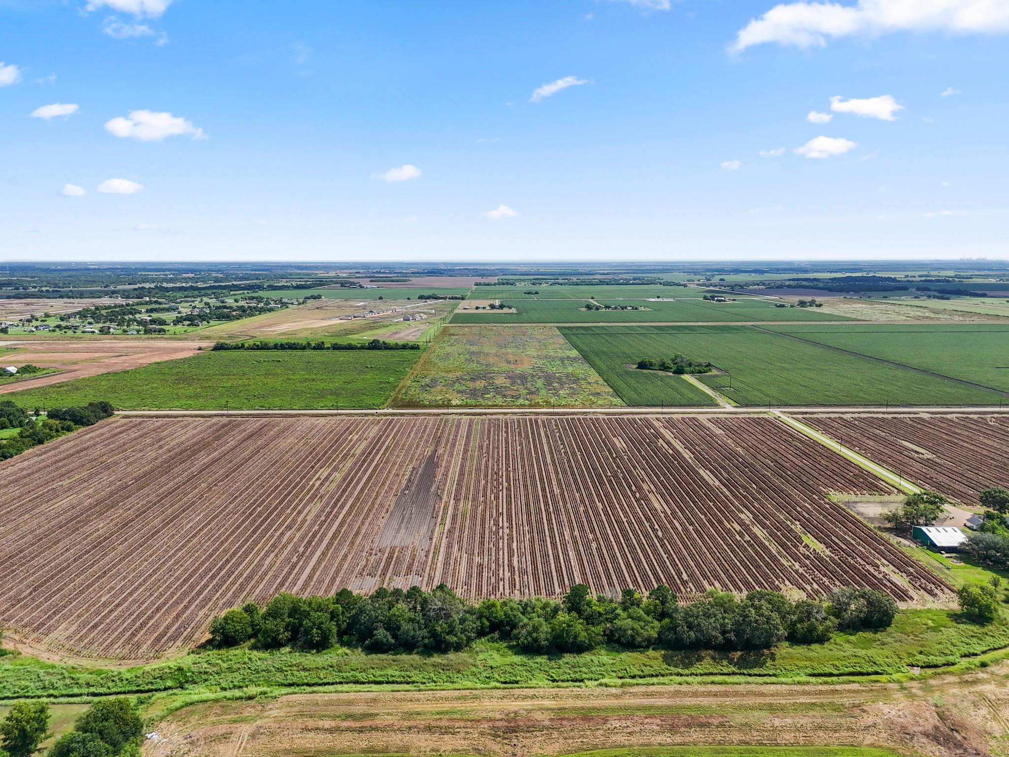 Needville, Texas, 77461, United States, ,Land,Forsale,1973439