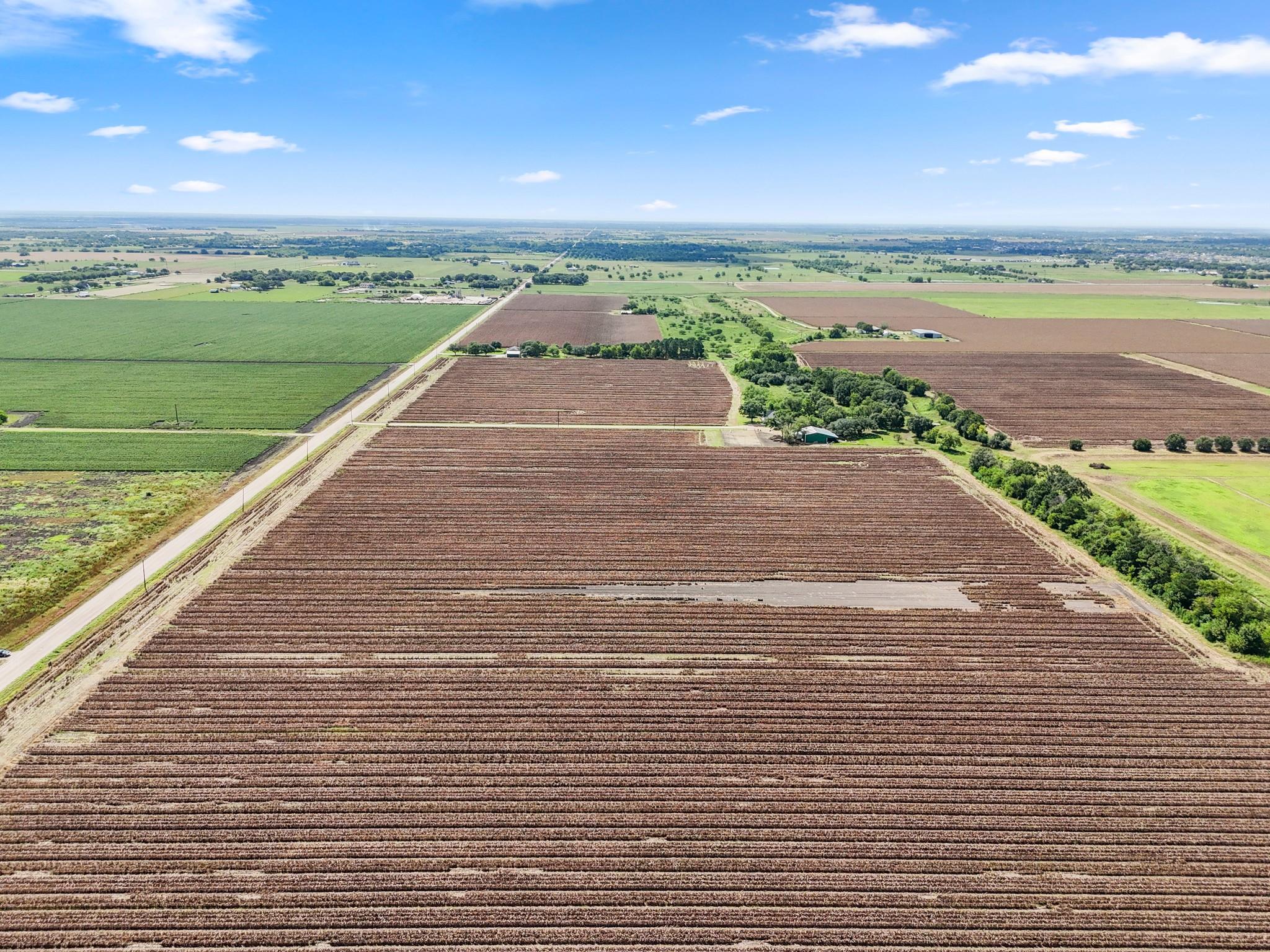 Needville, Texas, 77461, United States, ,Land,Forsale,1973439