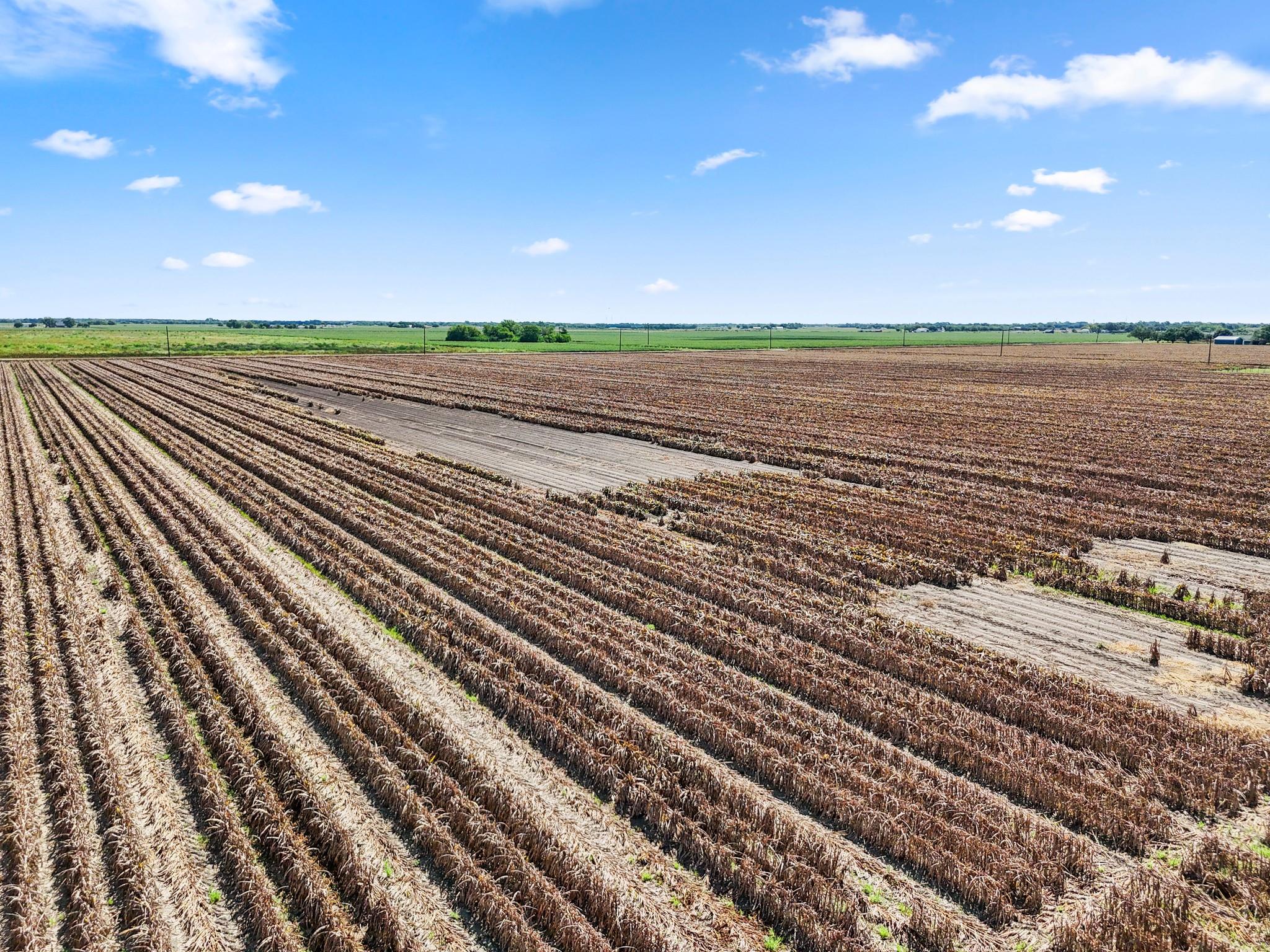 Needville, Texas, 77461, United States, ,Land,Forsale,1973439