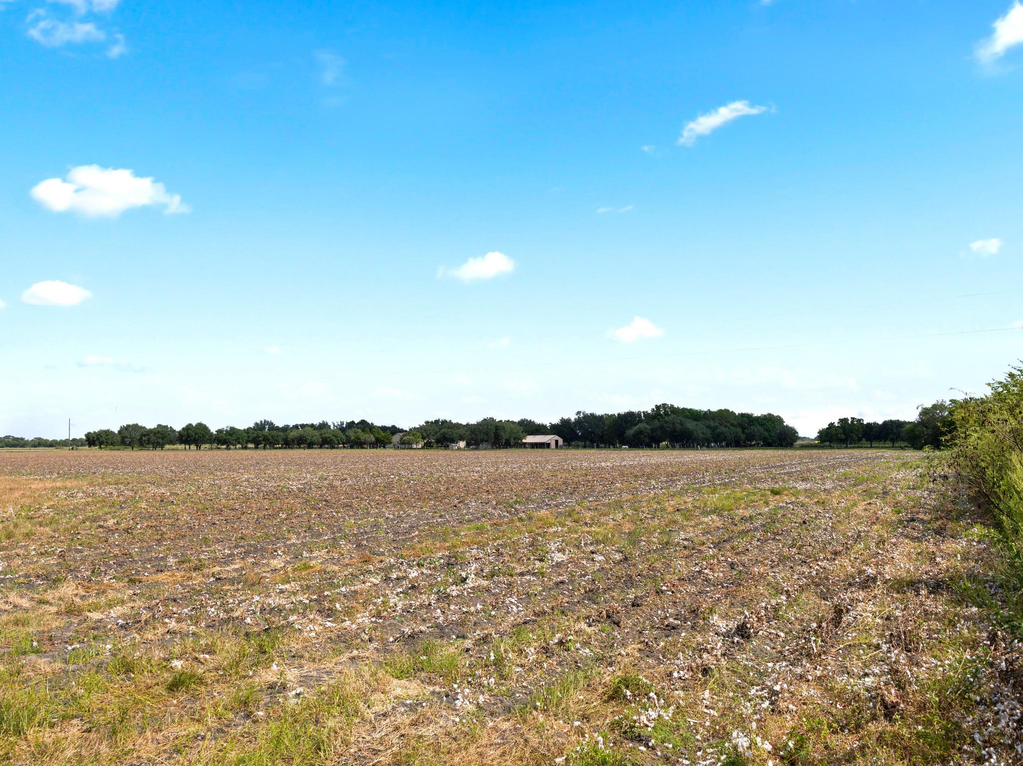 Needville, Texas, 77461, United States, ,Land,Forsale,1973438
