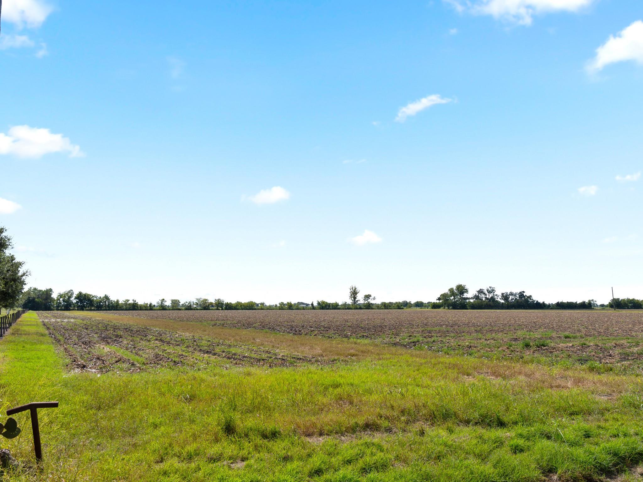 Needville, Texas, 77461, United States, ,Land,Forsale,1973438