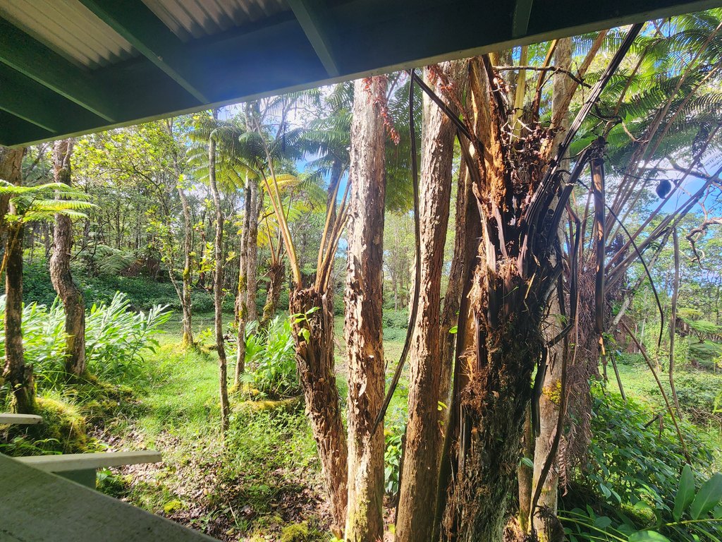 Captain Cook, Hawaii, 96704, United States, ,Land,Forsale,2004398