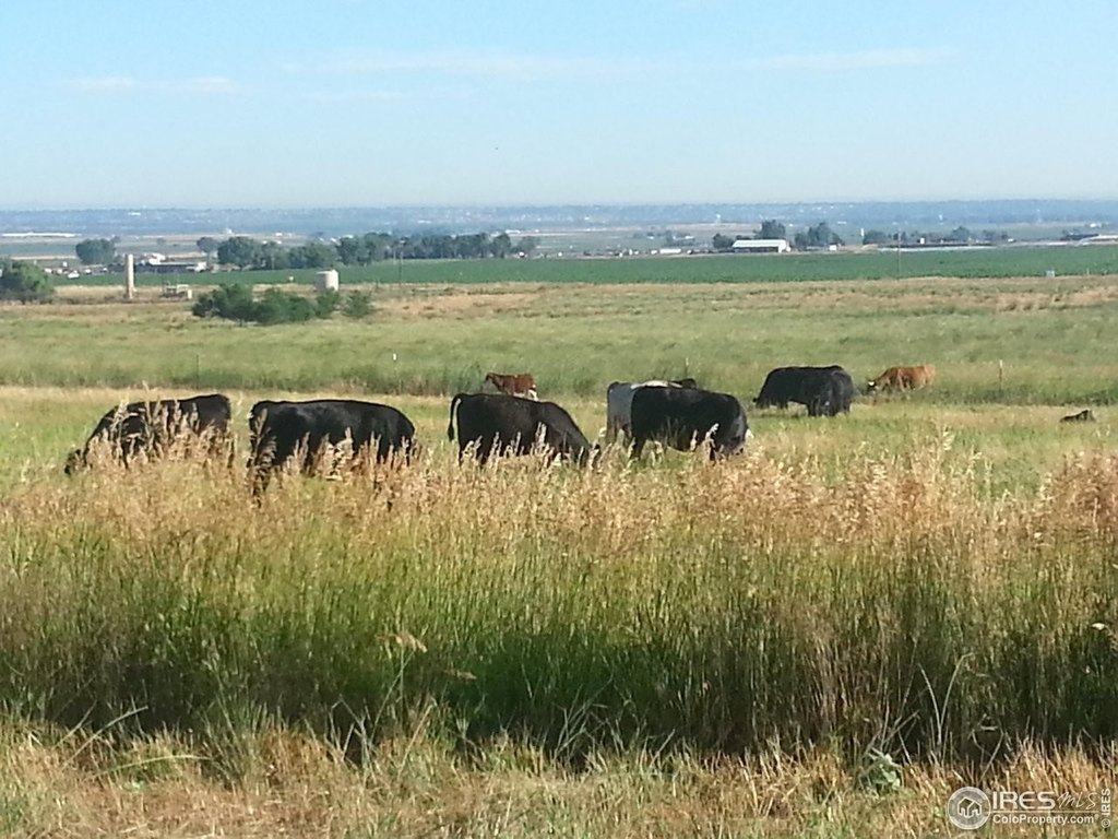 La Salle, Colorado, 80645, United States, ,Land,Forsale,2000012