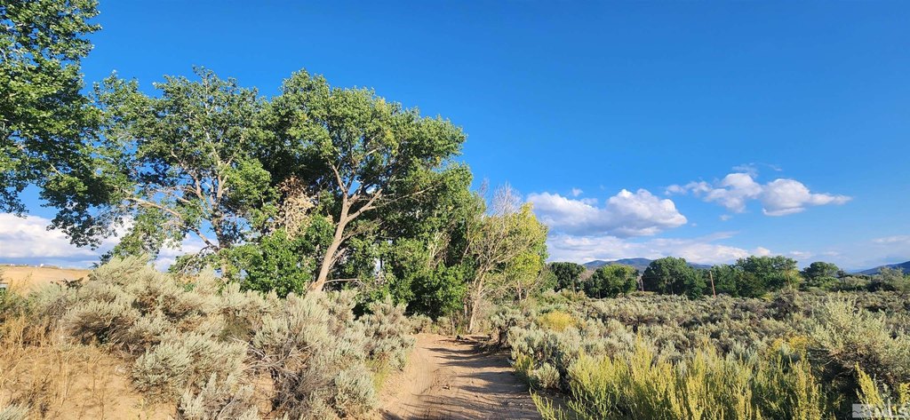 Carson City, Nevada, 89701, United States, ,Land,Forsale,1886495