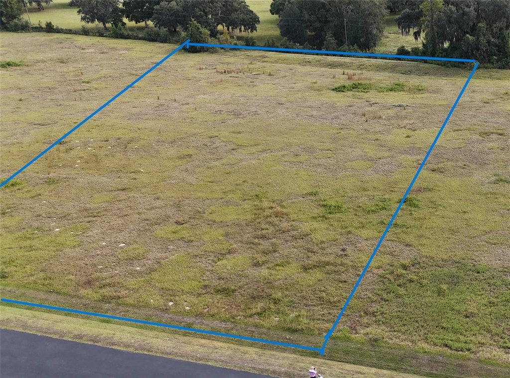 OCALA, Florida, 34482, United States, ,Land,Forsale,1994133