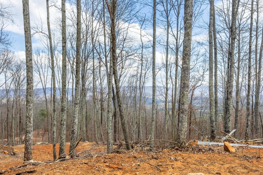 Pikeville, Tennessee, 37367, United States, ,Land,Forsale,2004680