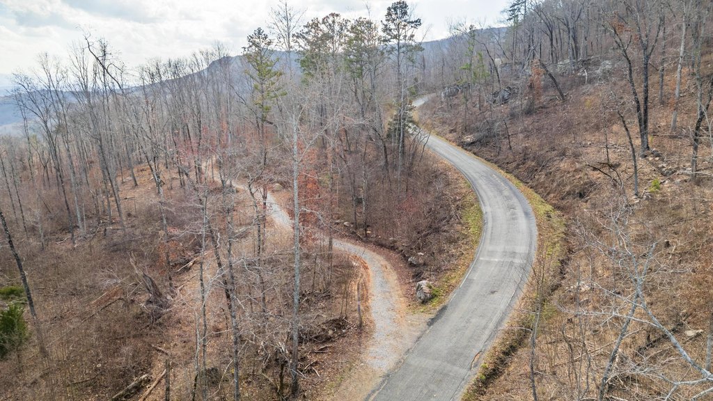 Pikeville, Tennessee, 37367, United States, ,Land,Forsale,2004680