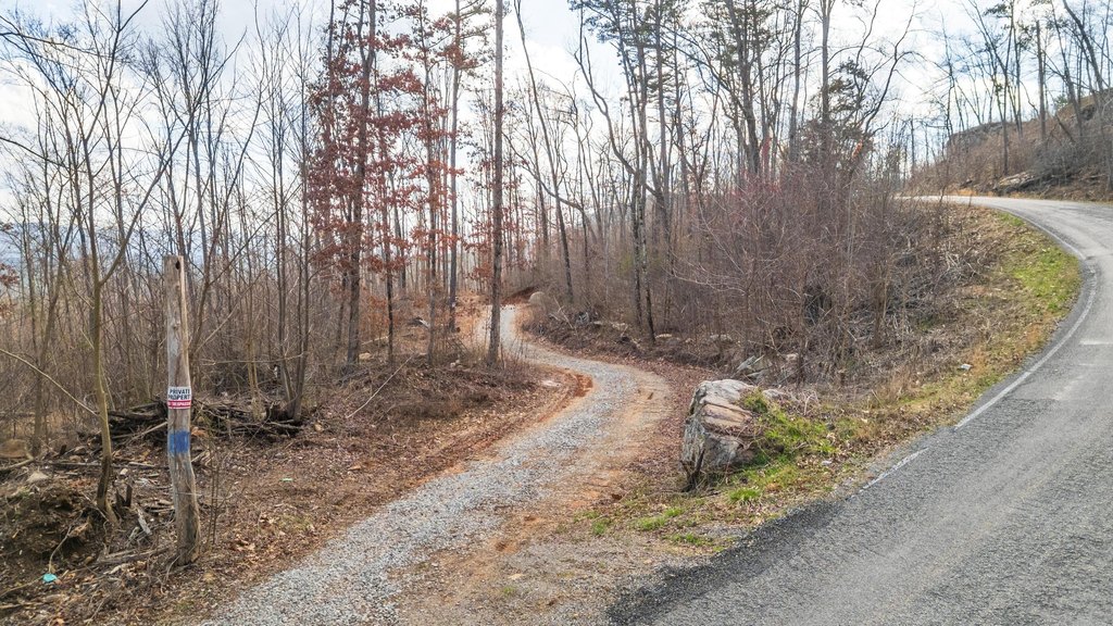 Pikeville, Tennessee, 37367, United States, ,Land,Forsale,2004680