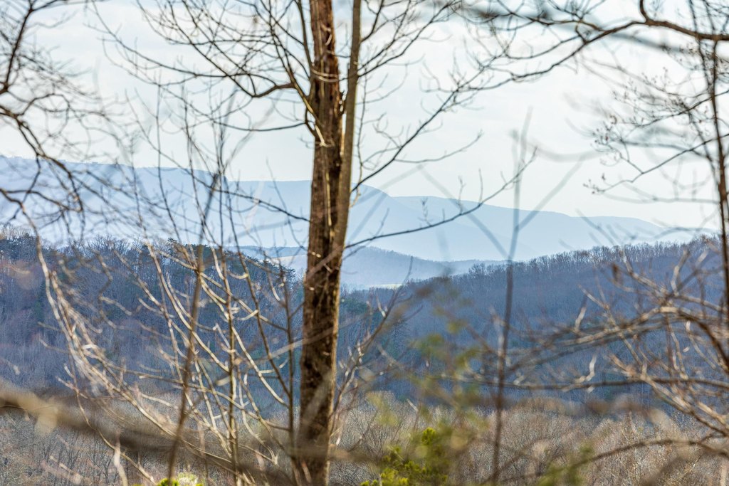 Pikeville, Tennessee, 37367, United States, ,Land,Forsale,2004680