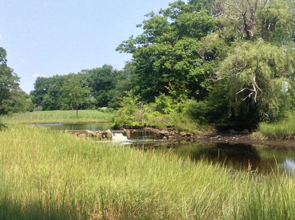 North Hampton, New Hampshire, 03862, United States, 4 Bedrooms Bedrooms, ,3.5 BathroomsBathrooms,Residential,Forsale,2004720