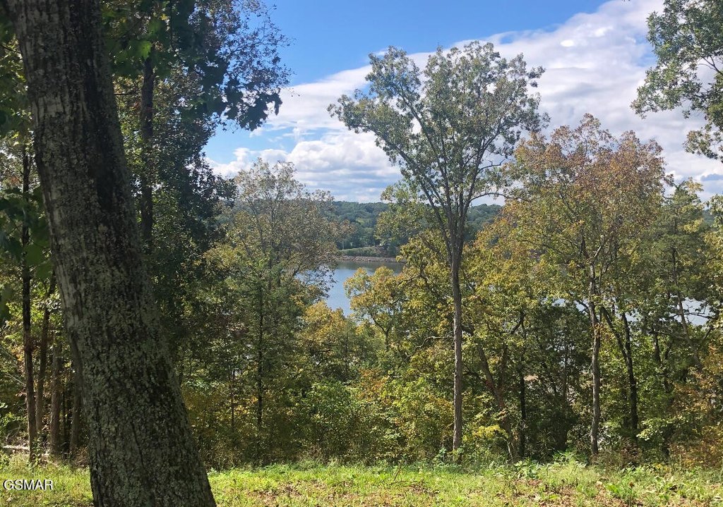 Newport, Tennessee, 37821, United States, 3 Bedrooms Bedrooms, ,2 BathroomsBathrooms,Residential,Forsale,1960215